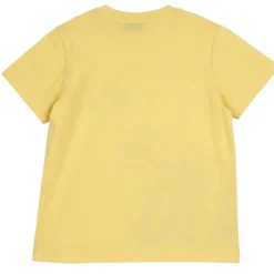 T-Shirt|Chicco Maglietta Manica Corta Con Dinosauro