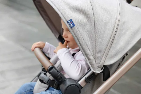 Passeggini|Chicco Passeggino Best Friend Pro Desert Taupe