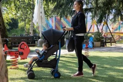 Passeggini|Chicco Passeggino Echo Stone