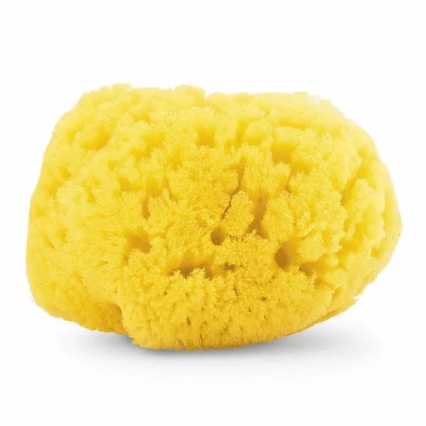 Cura E Accessori Bagnetto|Chicco Spugna Marina Naturale