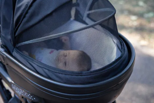 Trio E Sistemi Modulari|Chicco Trio Activ3 Con Kory Essential Jet Black